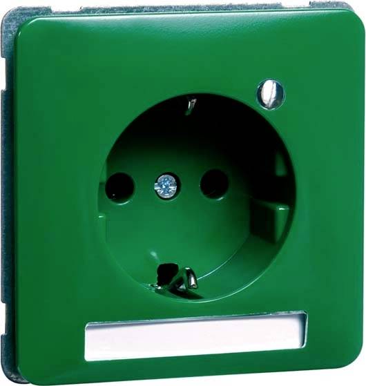 PEHA by Honeywell 1fach Einsatz Steckdose Grün 786661 1St.