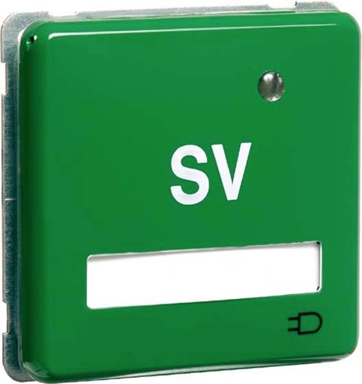 PEHA by Honeywell 1fach Einsatz Steckdose Grün 802311 1St.