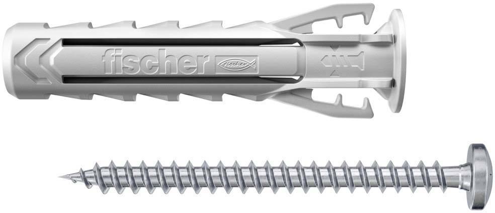 Dübel und Schraube: Ein grauer Kunststoffdübel und eine silberne Metall-Schraube, die zum Befestigen an Wänden verwendet werden.