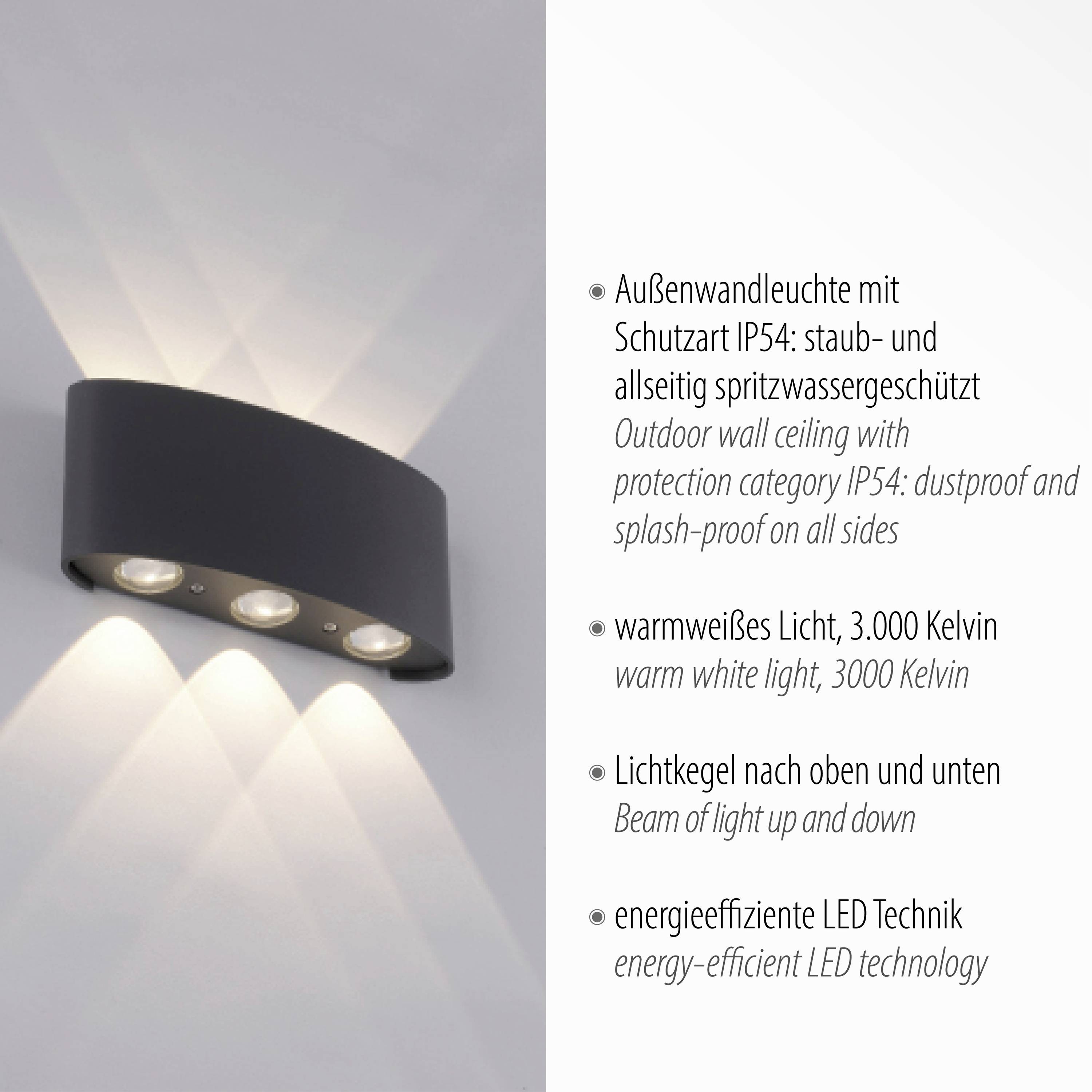 Paul Neuhaus CARLO 9488-13 LED-Wandleuchte 4.8 W LED Anthrazit