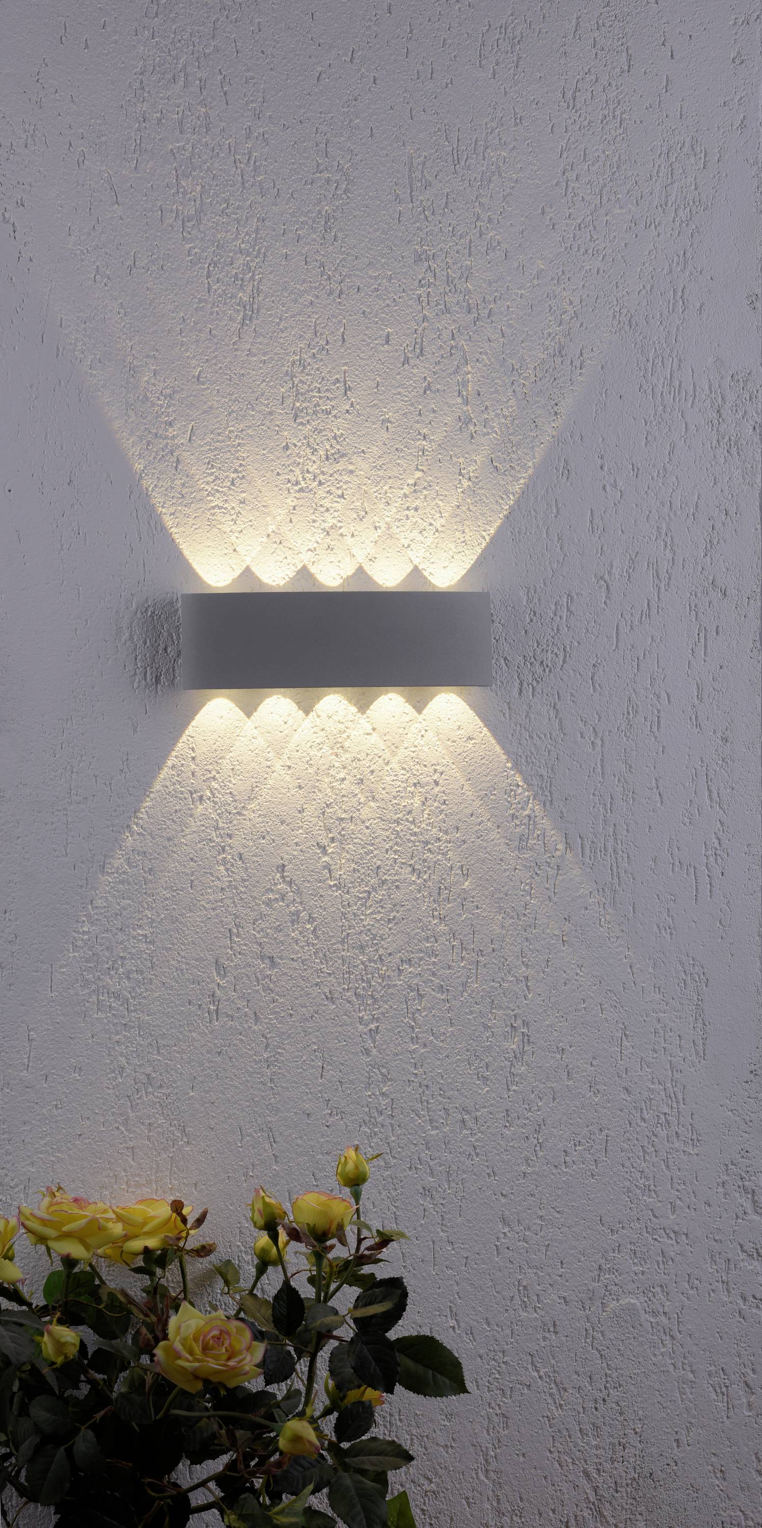 Paul Neuhaus CARLO 9489-21 LED-Wandleuchte 6.4 W LED Silber