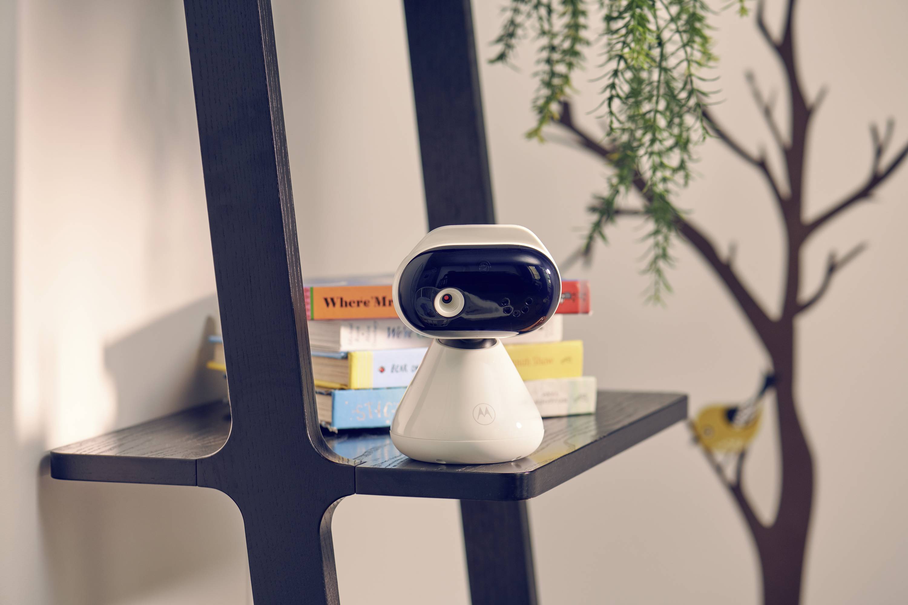 Ein kleiner Roboter steht auf einem Regal mit Büchern im Hintergrund. Eine Pflanze und ein Wandaufkleber sind daneben sichtbar.