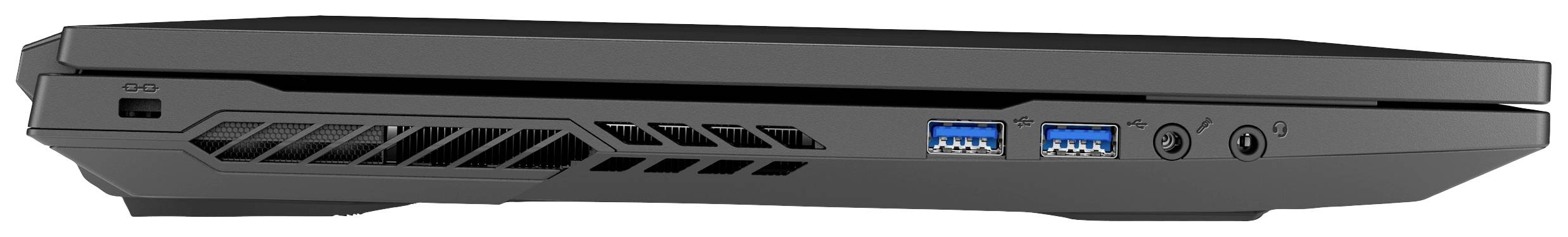 Medion Gaming Notebook Erazer Defender P10 43.9 cm (17.3 Zoll) Full HD Intel® Core™ i5 10300H 16 GB RAM 1 TB SSD Deutsch, QWERTZ Schwarz 3