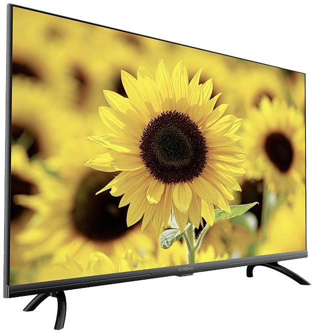 Flachbildfernseher zeigt ein lebendiges Sonnenblumenfeld mit Fokus auf eine große, gelbe Blume im Zentrum, umgeben von unscharfen Blüten.
