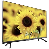 Strong D555 SRT 32HD5553 LED-TV 80cm 32 Zoll EEK F (A - G) Schwarz Strong D555 SRT 32HD5553 LED-TV 80cm 32 Zoll EEK F (A - G) Schwarz
