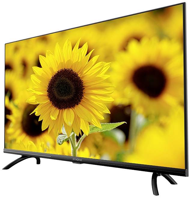 Ein Flachbildfernseher zeigt ein Bild einer großen, leuchtend gelben Sonnenblume, die im Mittelpunkt steht, umgeben von unscharfen Blüten im Hintergrund.
