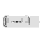 Intenso Green Line Clé USB 32 GB beige, marron 3540480 USB 3.2 (1è gén.) (USB 3.0)