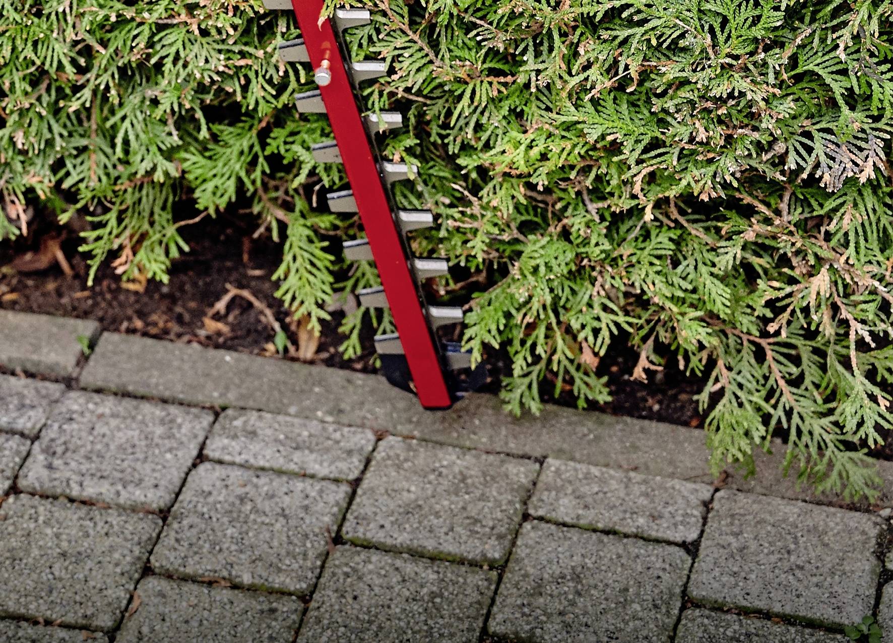 Eine rote Heckenschere schneidet eine grüne Hecke entlang eines gepflasterten Weges.