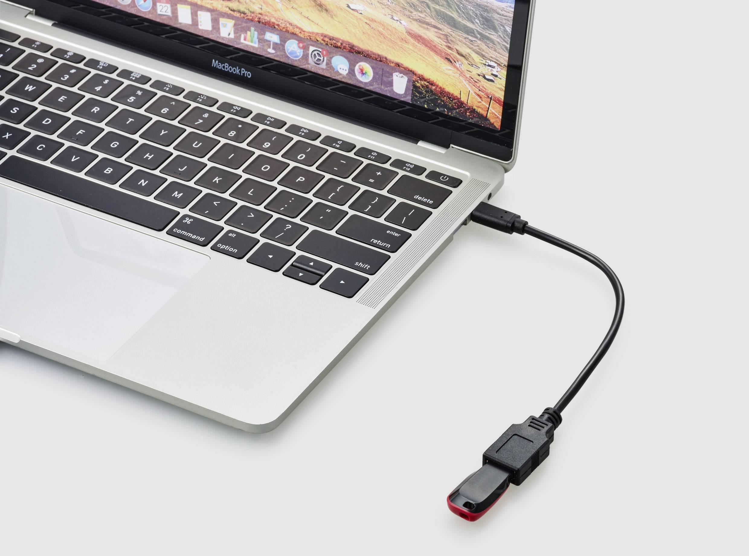 Ein Laptop mit angeschlossenem USB-Laufwerk über ein Adapterkabel. Der Bildschirm zeigt eine Landschaft.