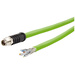 Metz Connect 142M7X10050 M12 Câble réseau, câble patch CAT 6a S/FTP 5.00 m vert gaine PUR, résistant aux acides, résistant à