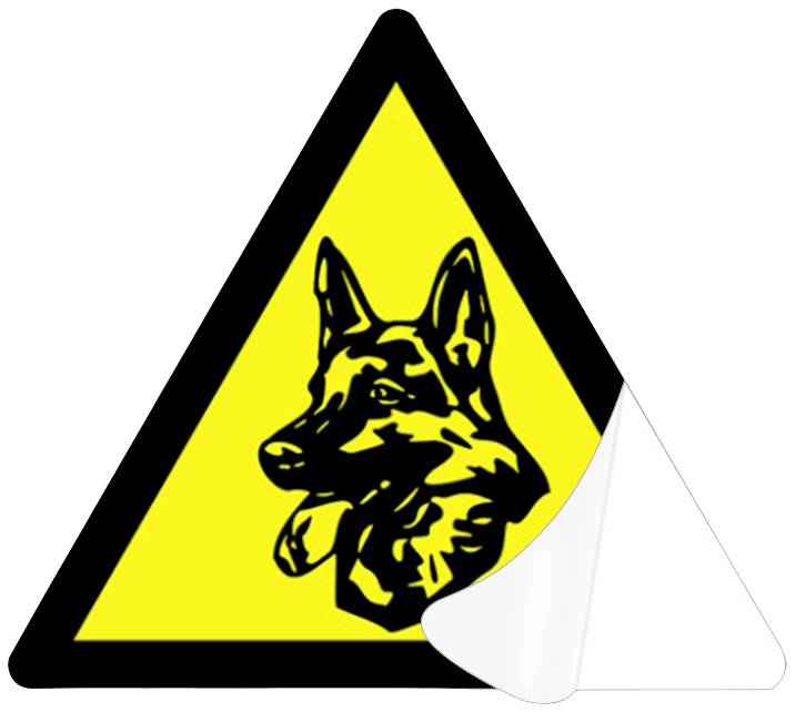 Cordes Haussicherheit Elektronischer Wachhund CC-2200 Weiß mit Fernbedienung 120 dB 002002