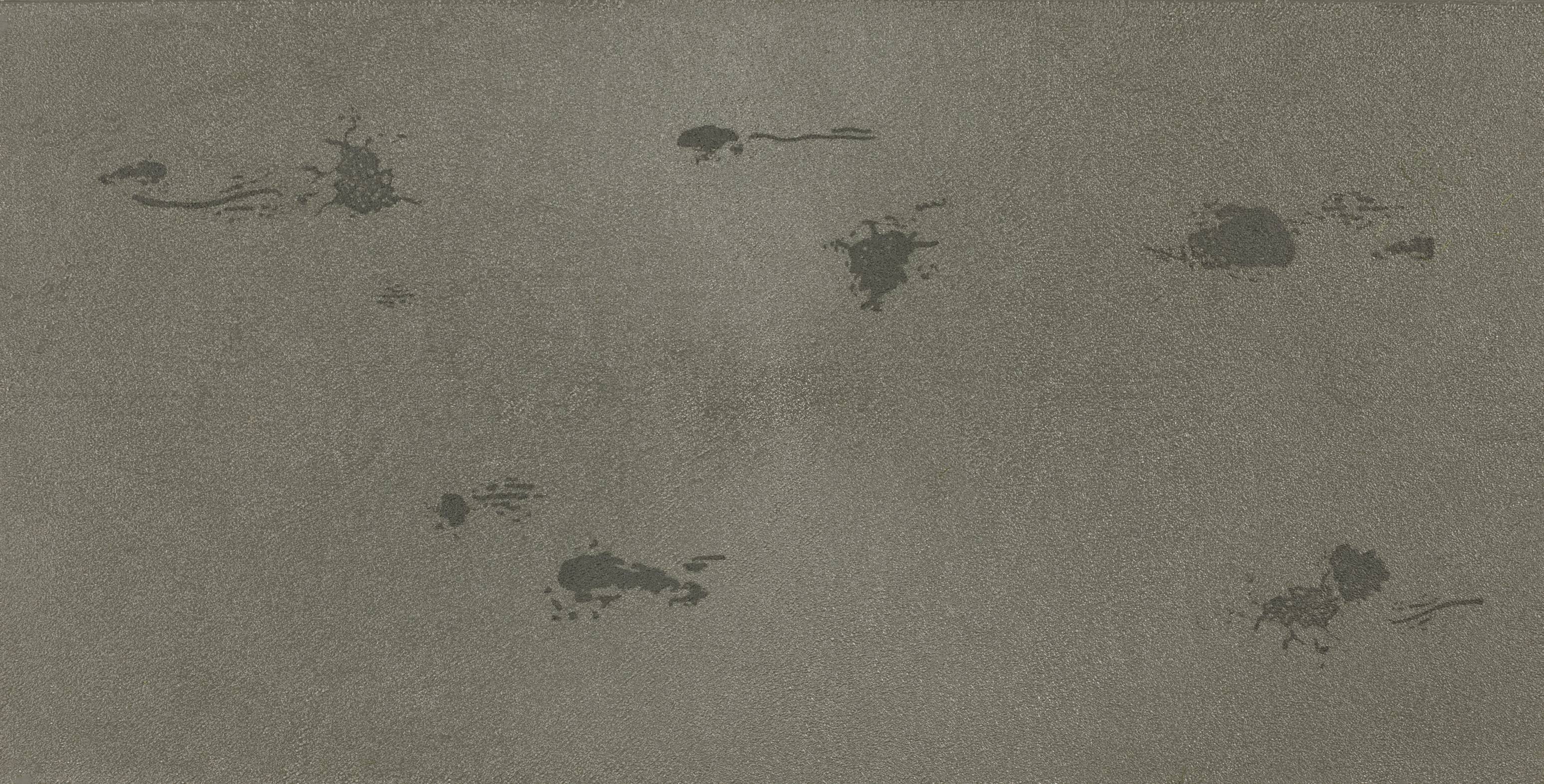 Auhagen 52446 H0, TT Asphaltplatz (L x B) 200mm x 100mm