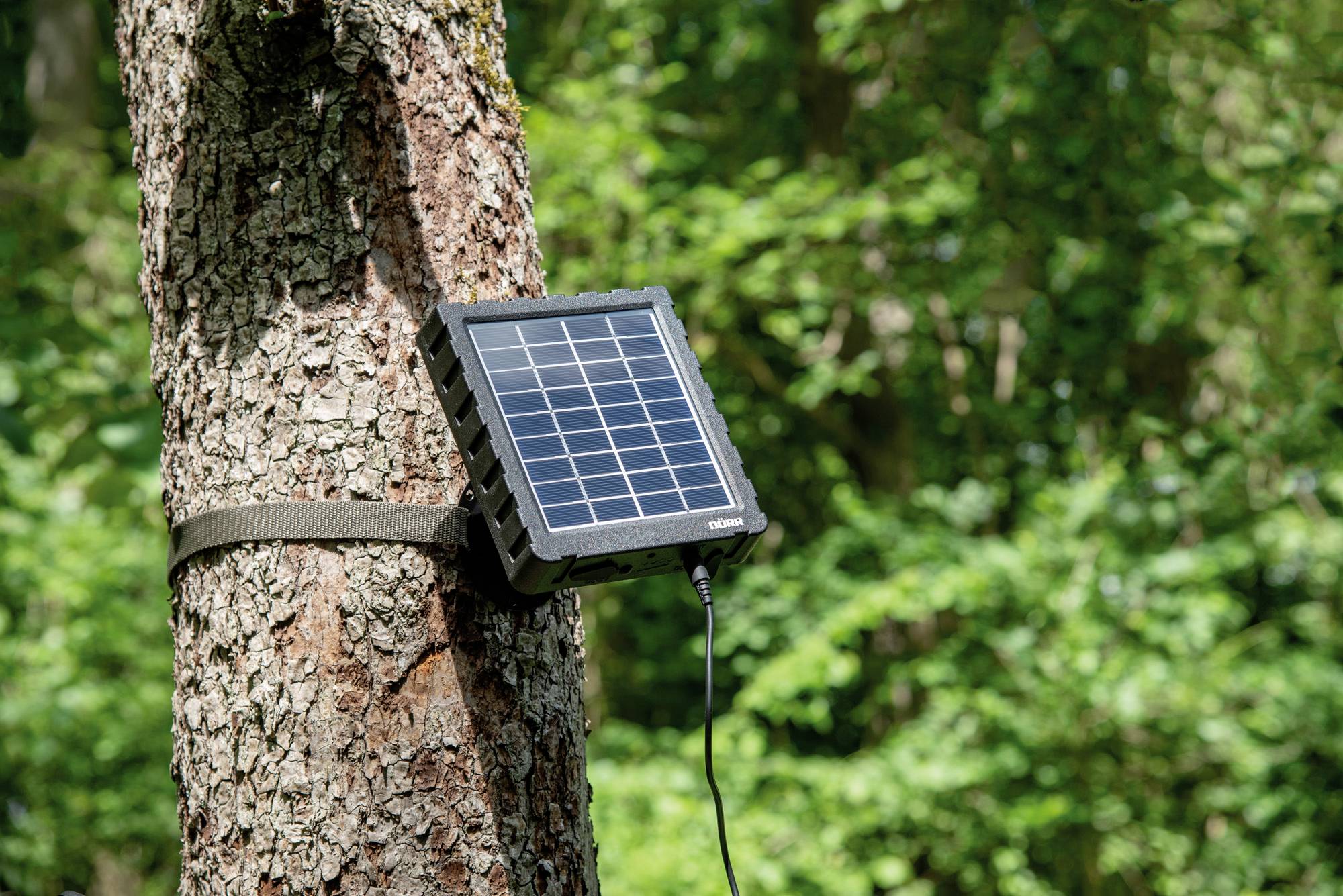 DÖRR Li-1500 12V/6V 204446 Solarpanel