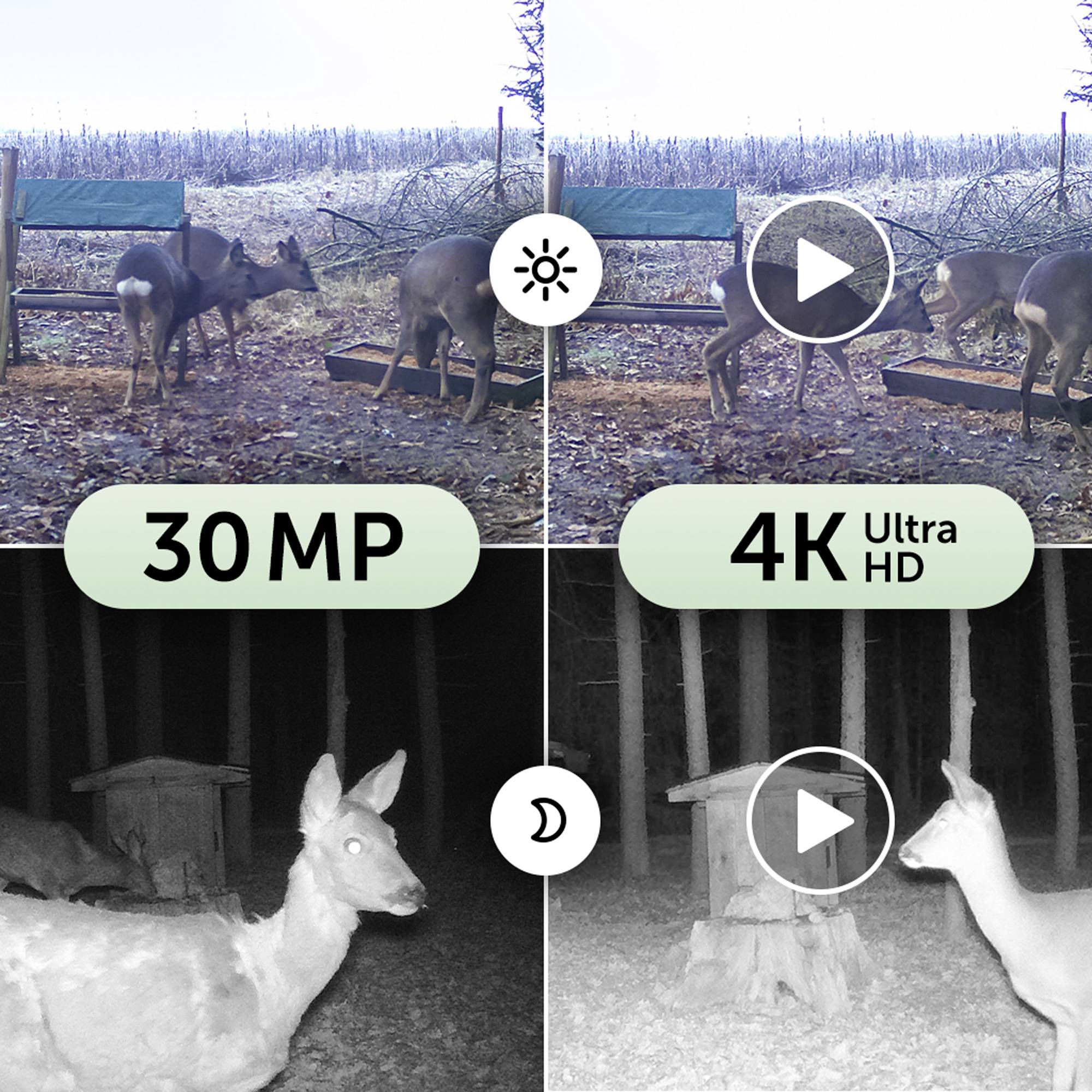 DÖRR SnapShot Mini Black 30MP 4K Wildkamera 30 Megapixel Zeitrafferfunktion, Black LEDs, Tonaufzeichnung Oliv-Braun