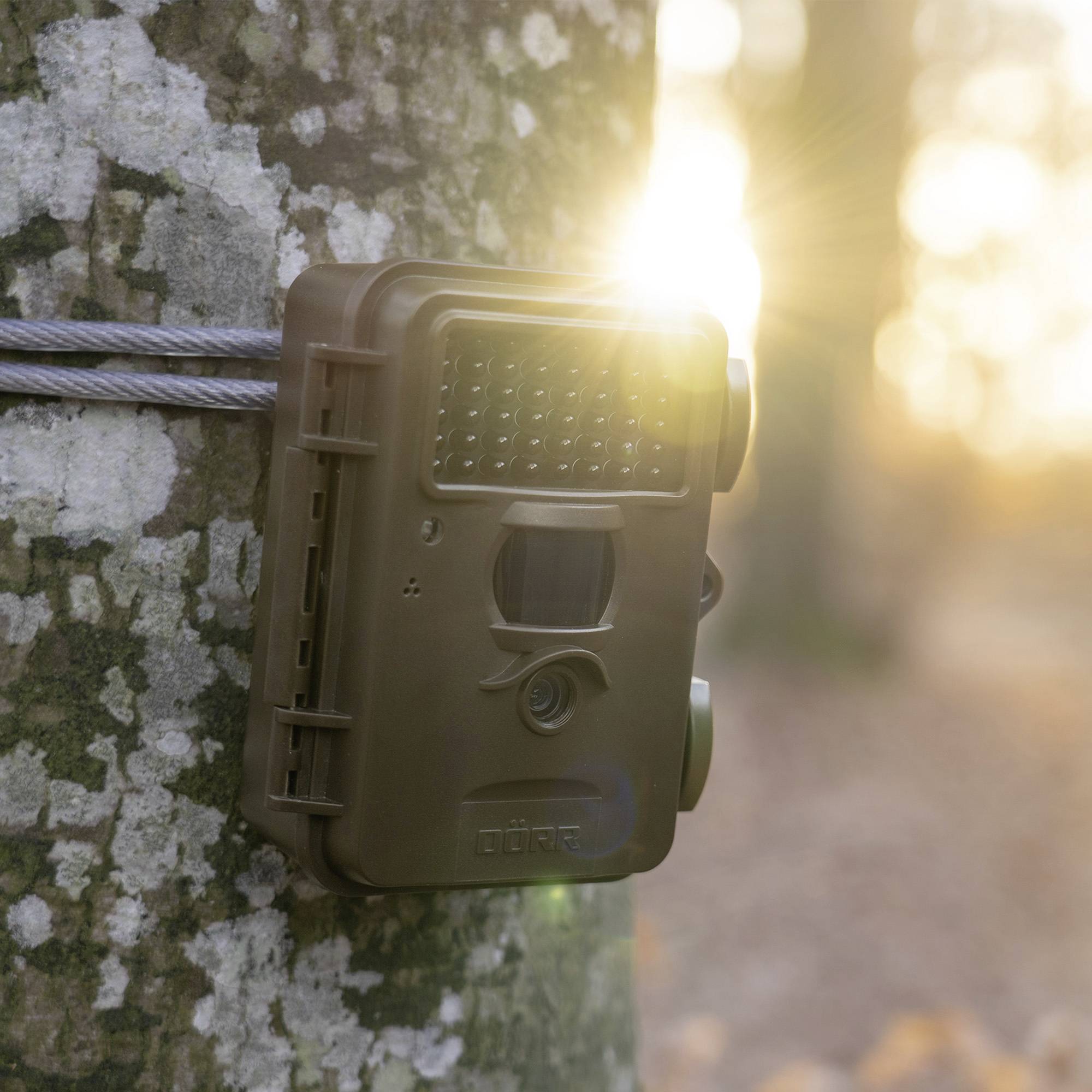 DÖRR SnapShot Mini Black 30MP 4K Wildkamera 30 Megapixel Zeitrafferfunktion, Black LEDs, Tonaufzeichnung Oliv-Braun