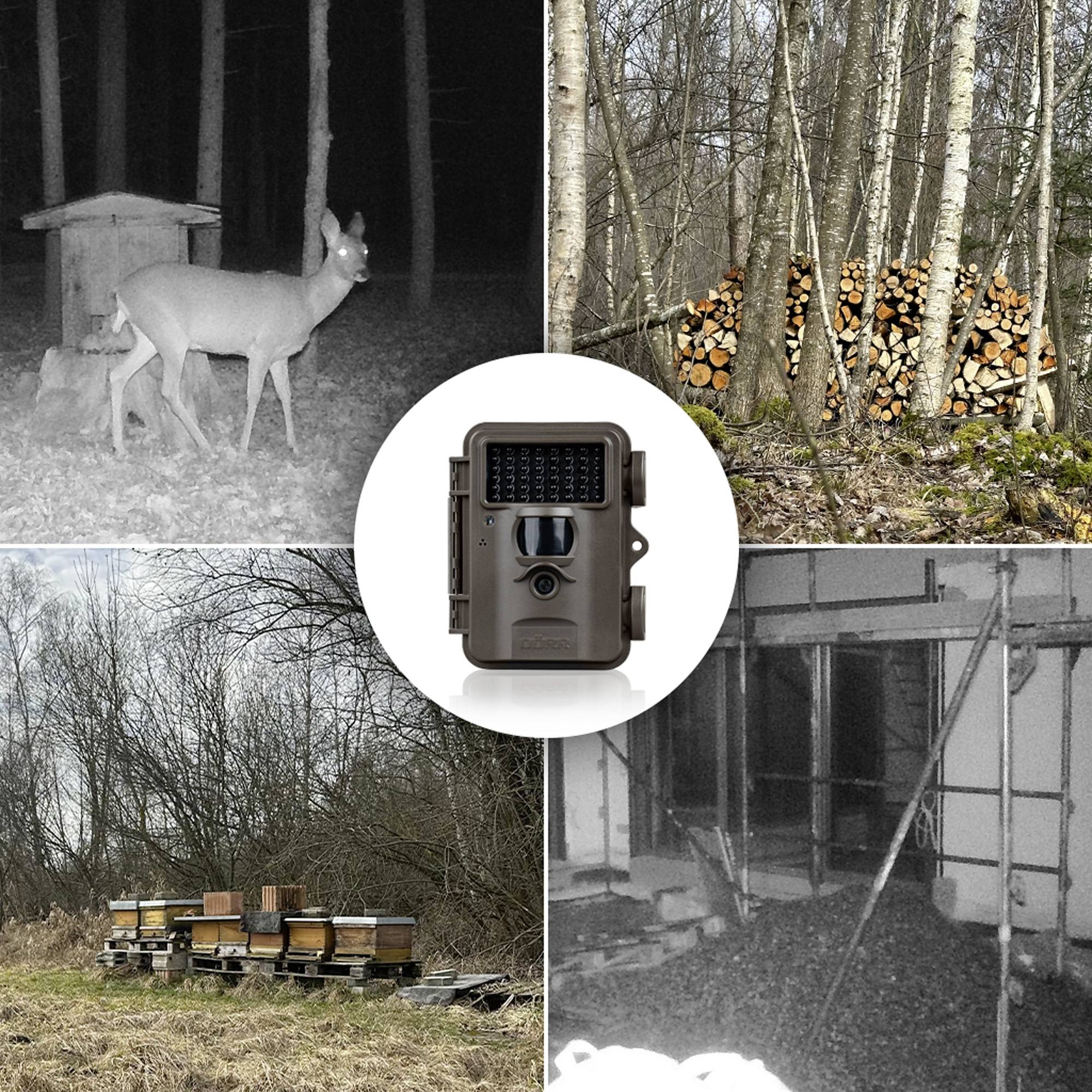 DÖRR SnapShot Mini Black 30MP 4K Wildkamera 30 Megapixel Zeitrafferfunktion, Black LEDs, Tonaufzeichnung Oliv-Braun