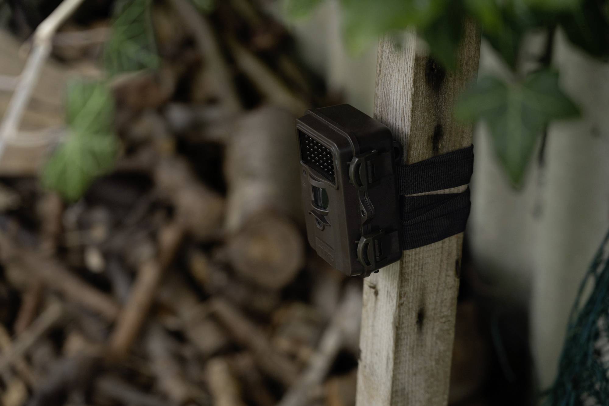 DÖRR SnapShot Mini Black 30MP 4K Wildkamera 30 Megapixel Zeitrafferfunktion, Black LEDs, Tonaufzeichnung Oliv-Braun