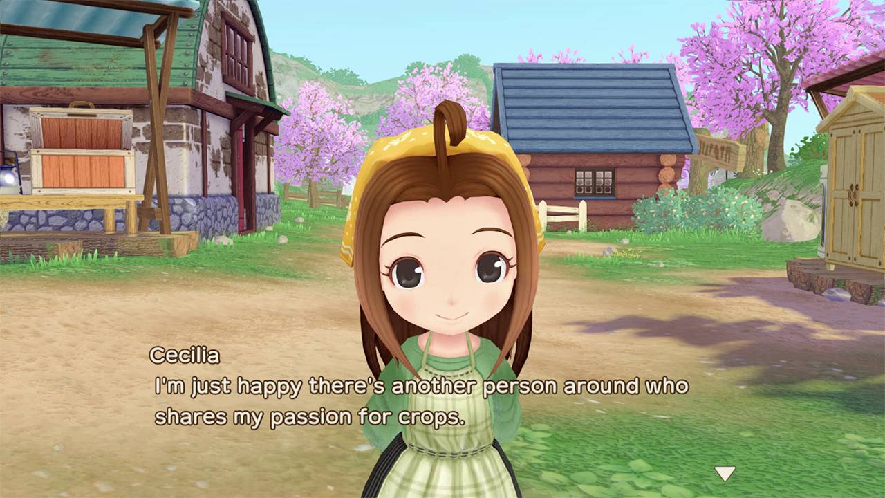 Story of Seasons: A Wonderful Life Nintendo Switch USK: 0