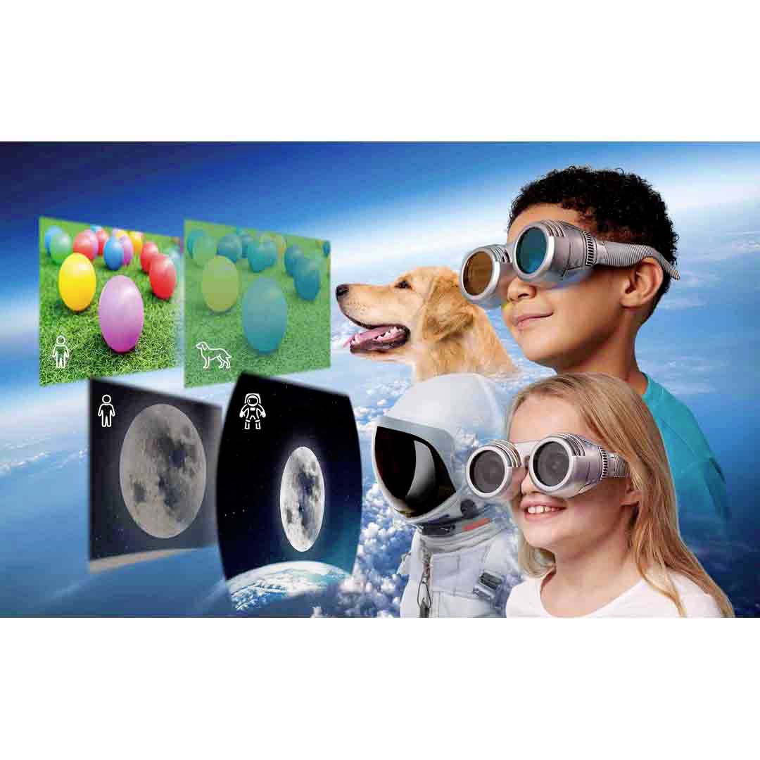 Brainstorm 362052 See The World Through Others' Eyes Naturwissenschaften Lernpaket ab 6 Jahre