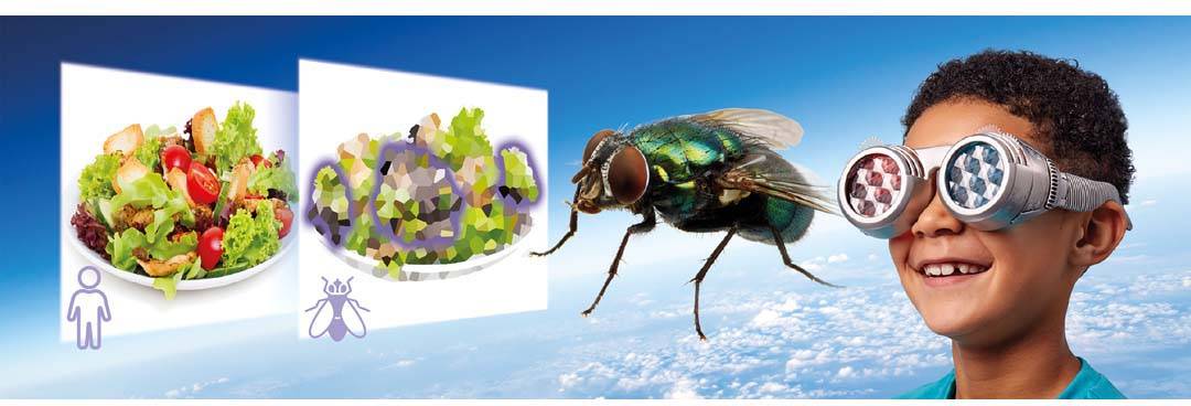 Brainstorm 362052 See The World Through Others' Eyes Naturwissenschaften Lernpaket ab 6 Jahre