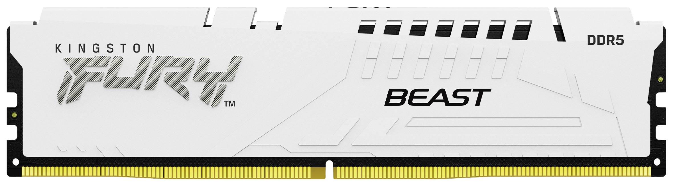 Kingston FURY Beast PC-Arbeitsspeicher Kit DDR5 32GB 2 x 16GB on-die ECC 5600MHz 288pin DIMM CL36 KF556C36BWEK2-32