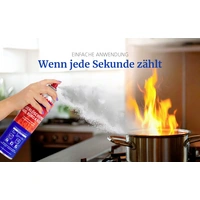 Hekatron Schaumfeuerlöschspray 600 ml Brandklasse: A, B, F Inhalt 1 St. Hekatron Schaumfeuerlöschspray 600 ml Brandklasse: A, B, F Inhalt 1 St.