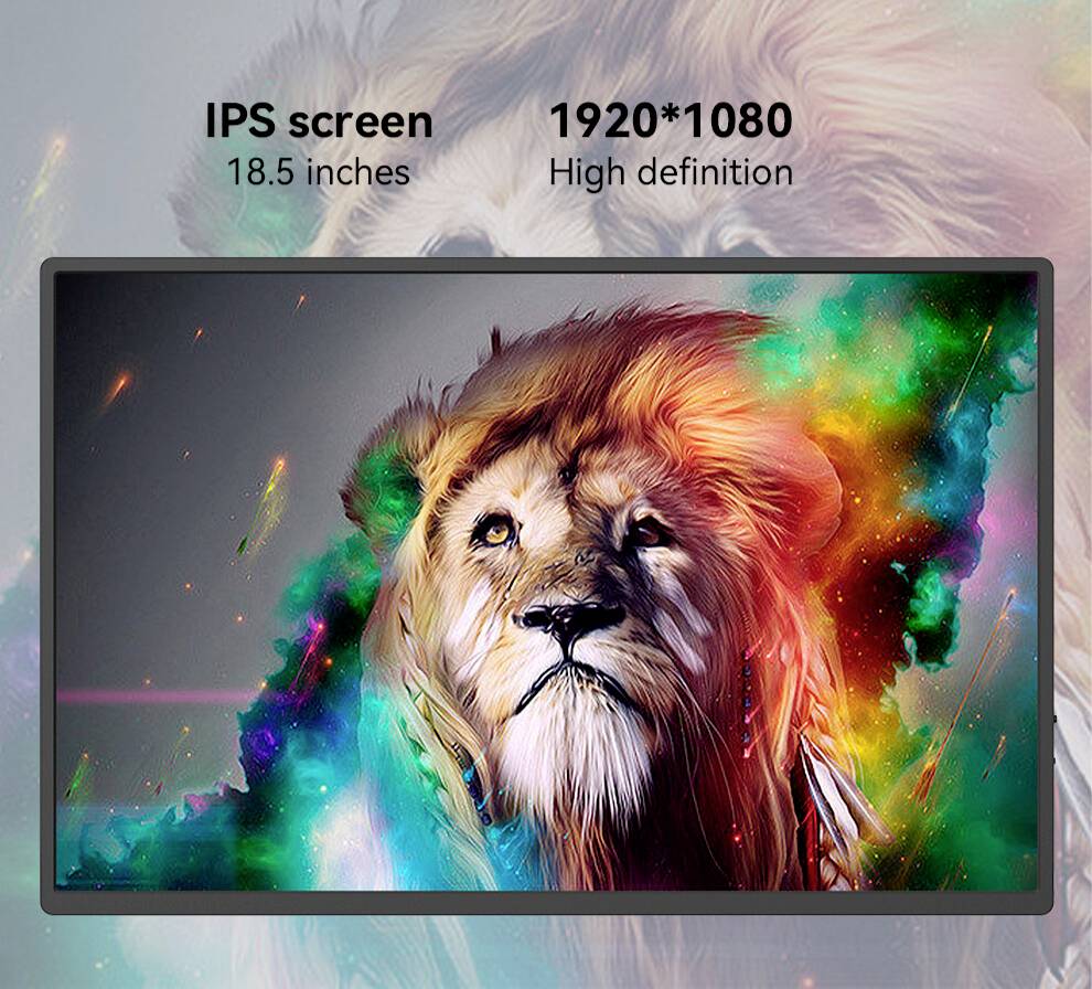 Raysgem RC185PTM Touchscreen-Monitor EEK: E (A - G) 47 cm (18.5 Zoll) 1980 x 1080 Pixel 16:9 5 ms H