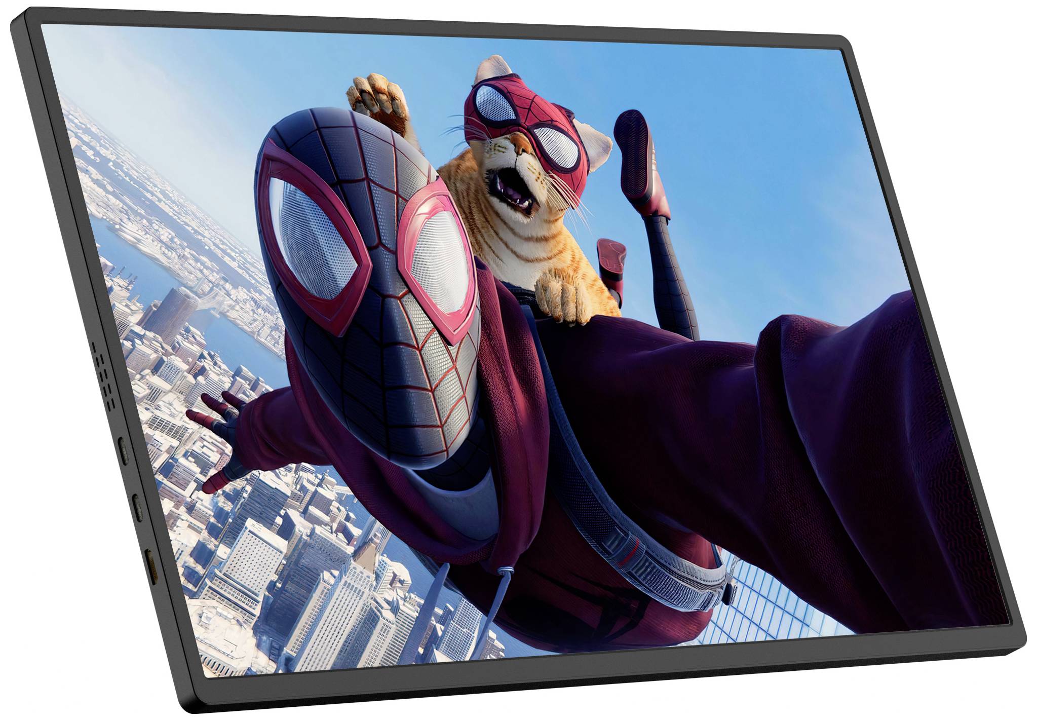 Raysgem RC185PTM Touchscreen-Monitor EEK: E (A - G) 47cm (18.5 Zoll) 1980 x 1080 Pixel 16:9 5 ms HDMI®, USB-C®, Audio, stereo