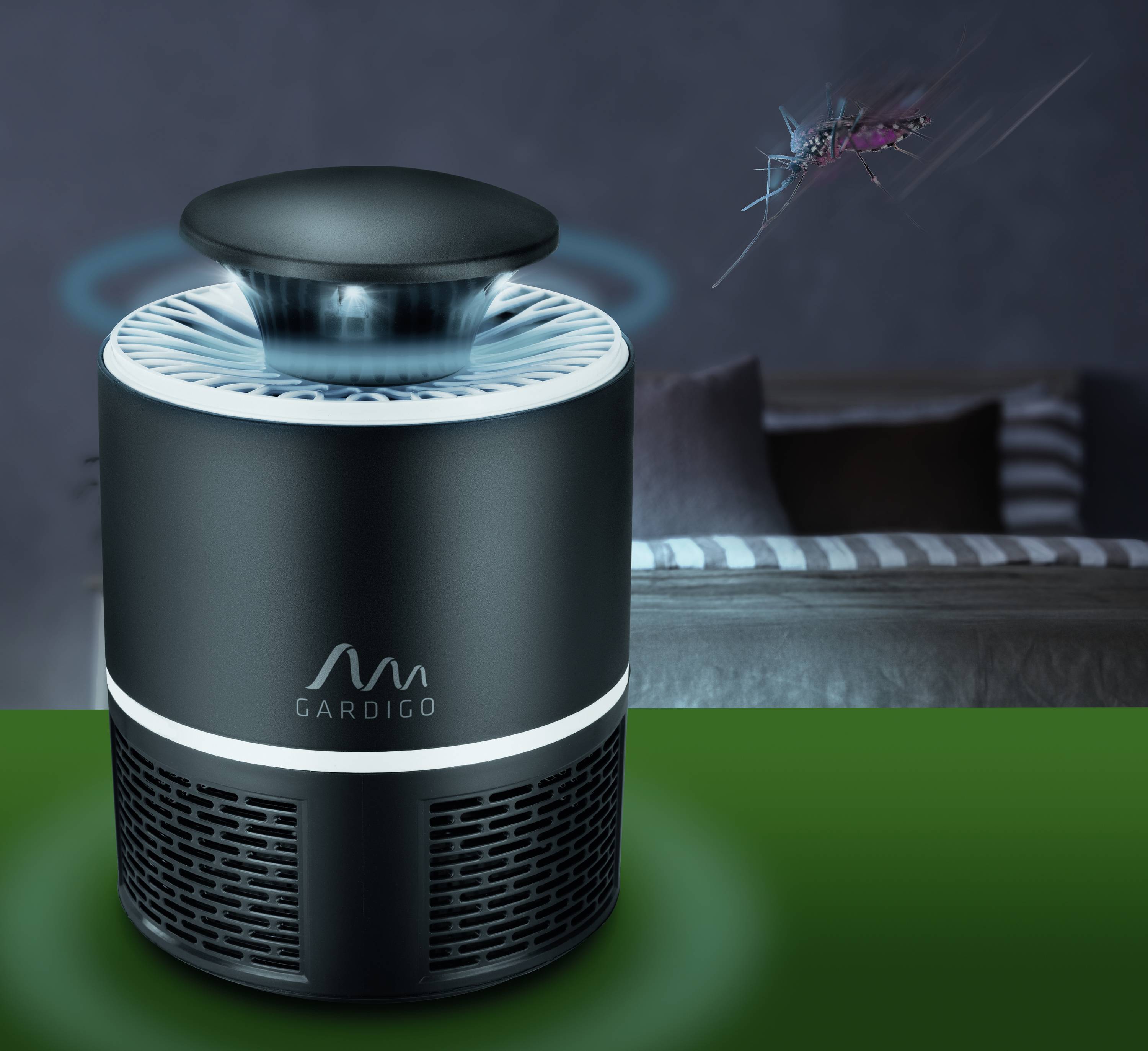 Ein Insektenvernichter mit blauem Licht auf einem Tisch; im Hintergrund ein Sofa und eine fliegende Mücke.