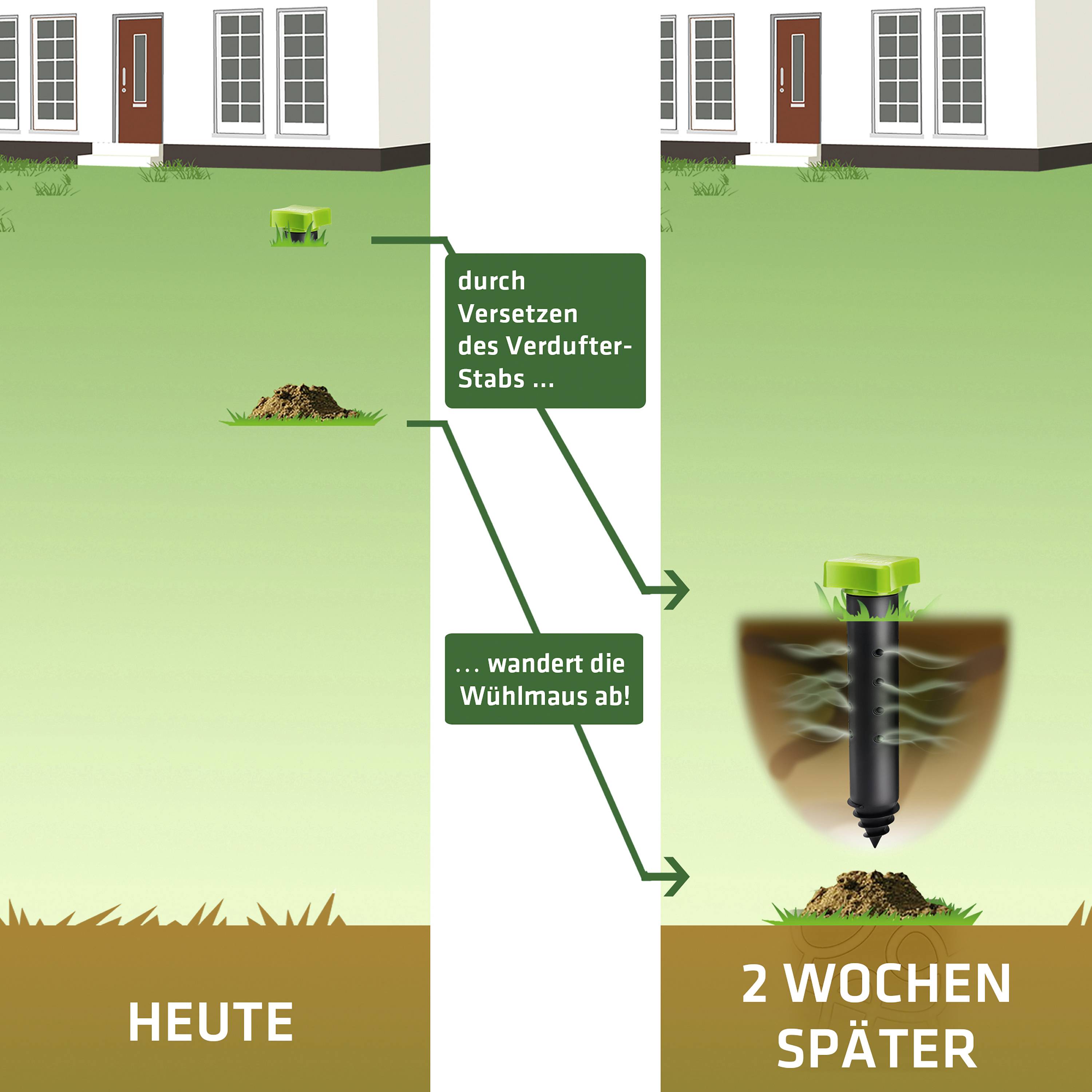 Zwei Bilder nebeneinander: links ein Wühlmaus-Problem; rechts, zwei Wochen später, ist die Wühlmaus durch Versetzen eines Verdutzers fort.