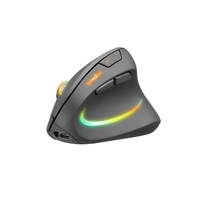 SpeedLink PIAVO PRO Illuminated Maus Funk Optisch Schwarz 5 Tasten 1200 dpi, 2400 dpi, 3200 dpi Ergonomisch, Beleuchtet SpeedLink PIAVO PRO Illuminated Maus Funk Optisch Schwarz 5 Tasten 1200 dpi, 2400 dpi, 3200 dpi Ergonomisch, Beleuchtet