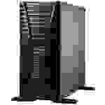 Hewlett Packard Enterprise Server ProLiant ML110 Gen11 Intel® Xeon Silver 4410Y 32GB RAM P55640-421