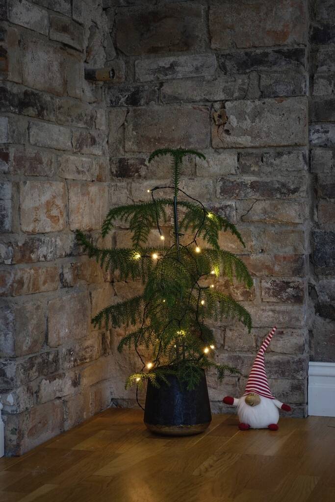 Konstsmide 1470-100 Lichterketten mit Batterien Innen batteriebetrieben Anzahl Leuchtmittel 50 LED Warmweiß Beleuchtete Länge