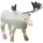 Konstsmide 6225-103 Acryl-Figur Elch Warmweiß LED Warmweiß Konstsmide 6225-103 Acryl-Figur Elch Warmweiß LED Warmweiß