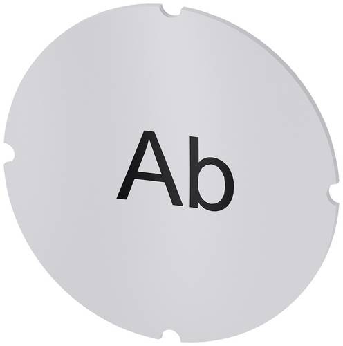 Siemens 3SU1900-0AB71-0AE0 3SU19000AB710AE0 Einlegeschild 10 St.