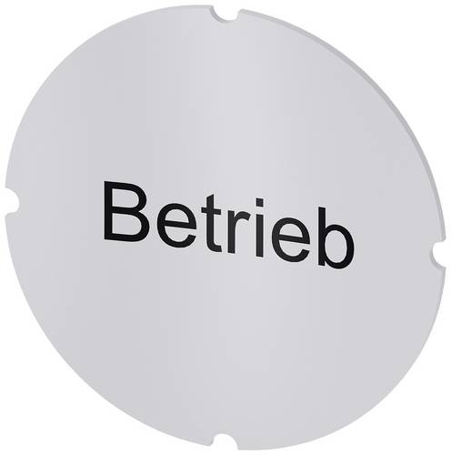 Siemens 3SU1900-0AB71-0AP0 3SU19000AB710AP0 Einlegeschild 10 St.