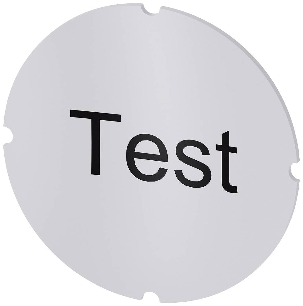 Ein grauer Kreis mit dem Wort 'Test' in schwarzer, fettgedruckter Schrift in der Mitte.