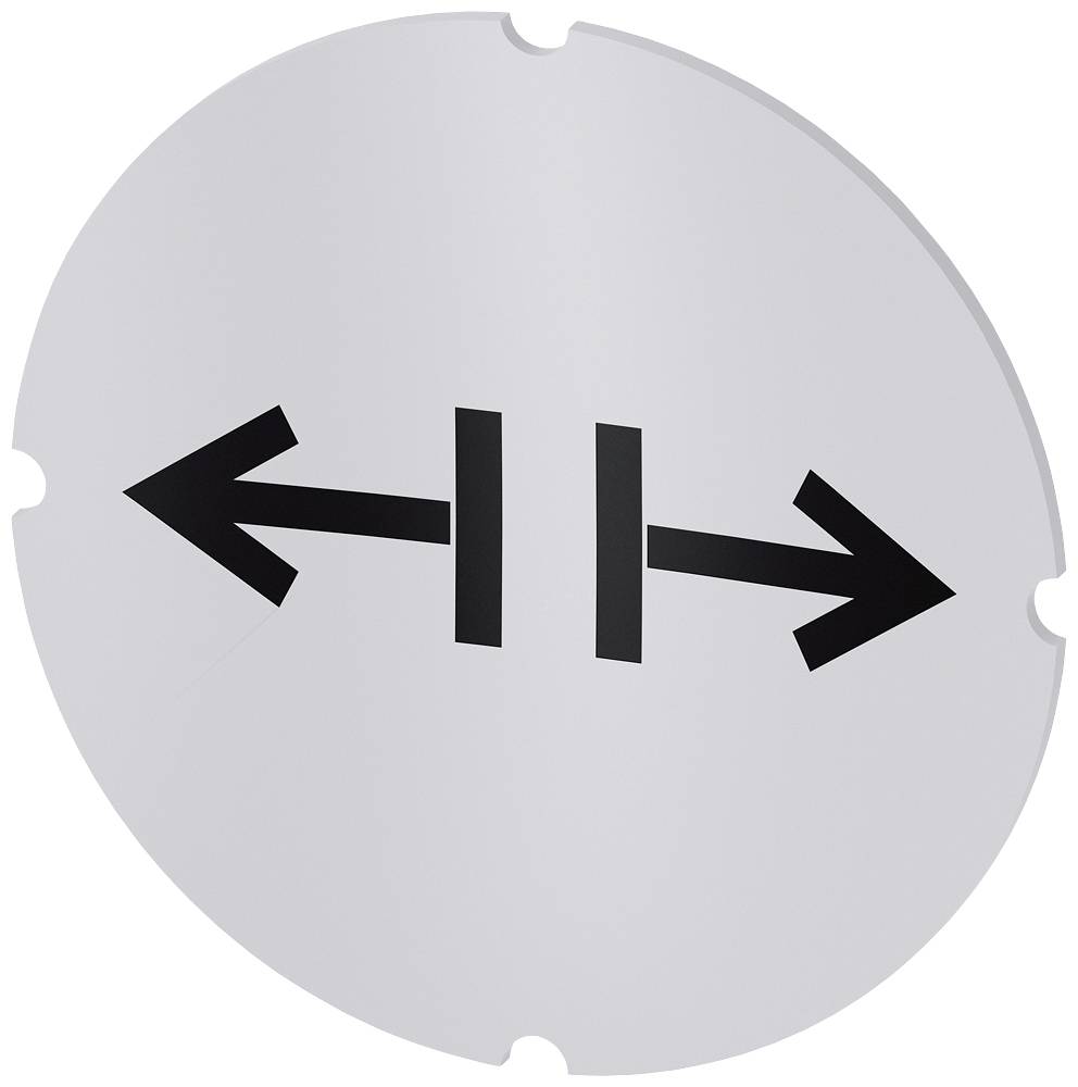 Ein rundes Schild zeigt zwei horizontale Pfeile in entgegengesetzte Richtungen, symbolisiert mögliche Fahrtrichtungen nach links und rechts.