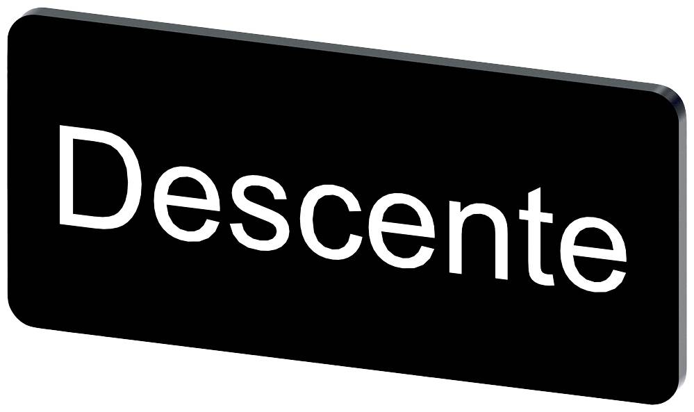 Schwarzes rechteckiges Schild mit weißem Text 'Descente', was auf Französisch 'Abstieg' bedeutet.