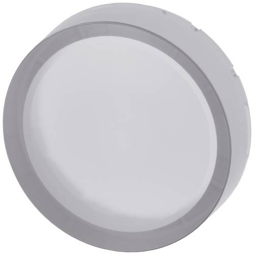 Siemens 3SU1901-0FS70-0AA0 3SU19010FS700AA0 Druckknopf 10 St.