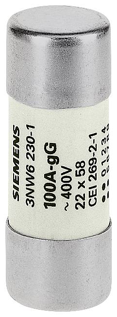 Siemens 3NW62071 Zylindersicherungseinsatz 10St.