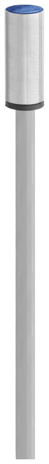 Ein silberner Metallstift mit einem blauen runden Kopf.
