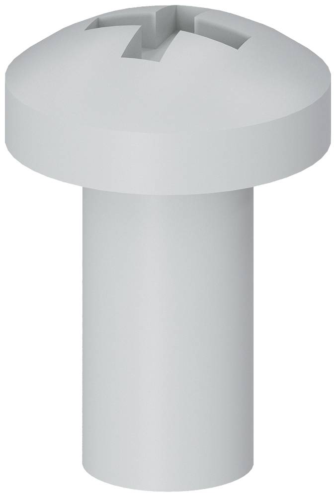 Silberne Schraube mit rundem Kopf und Schlitz für einen Schlitzschraubendreher, Darstellung auf weißem Hintergrund.