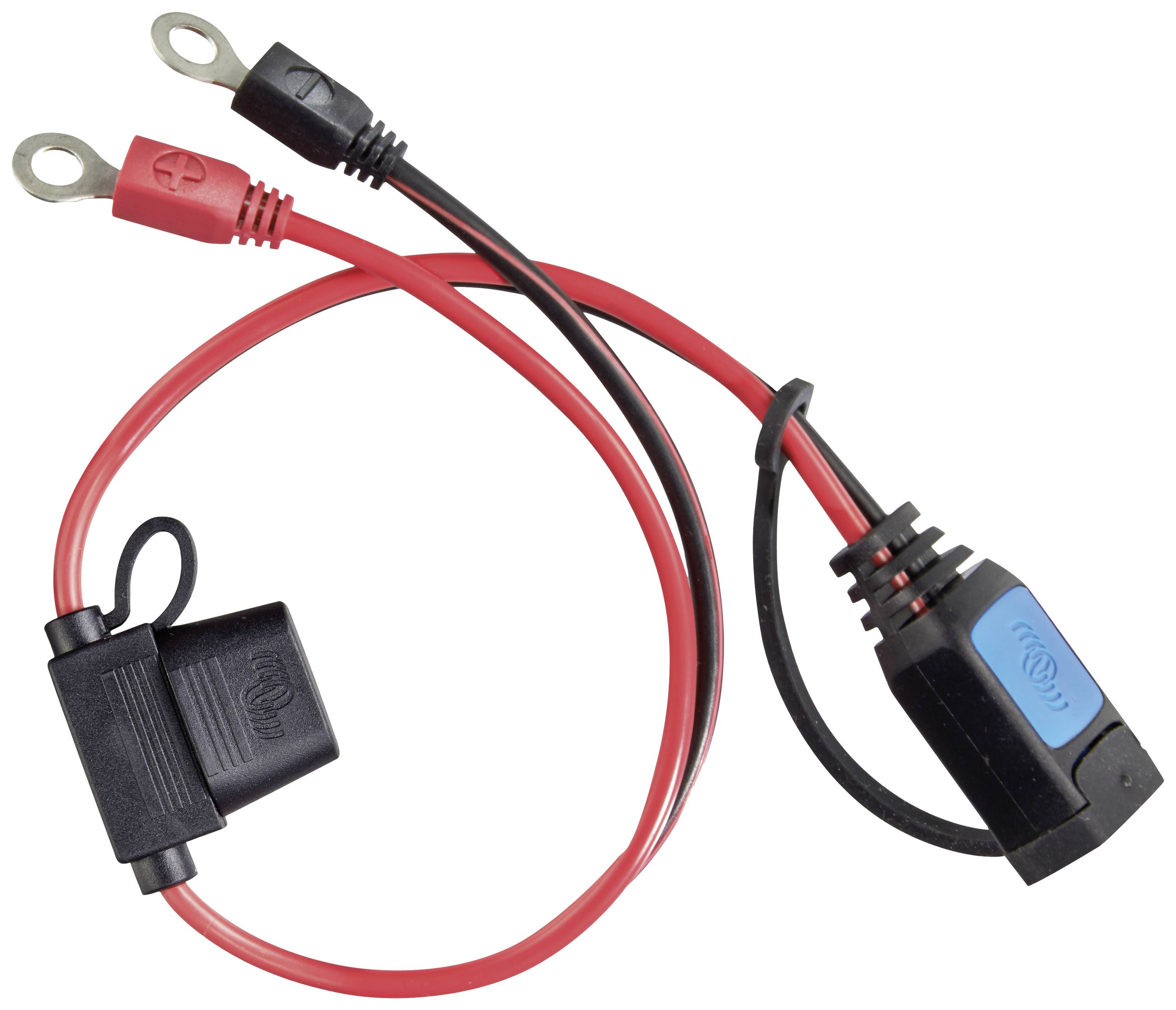 Victron Energy Anschlusskabel M6 Kabelschuh-Steckverbinder Victron (mit 30A ATO-Sicherung)