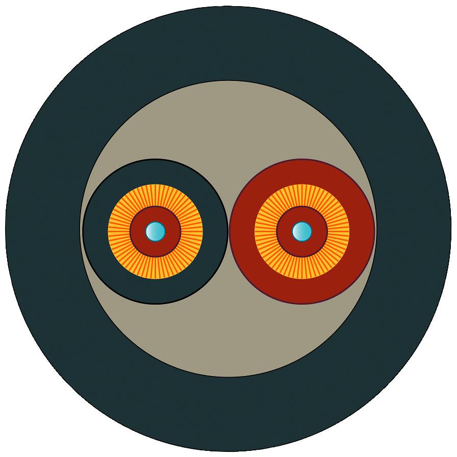 Abstrakte Grafik: Zwei überlappende, bunte kreisförmige Muster auf einem dunklen Hintergrund, ähnlich stilisierten Augen.