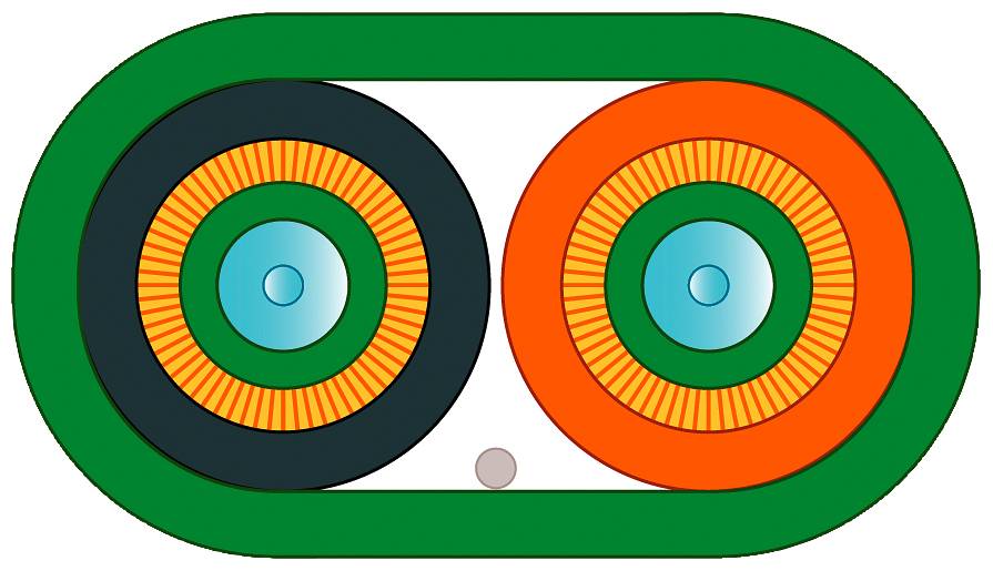 Eine stilisierte Grafik zeigt zwei nebeneinanderliegende, konzentrische Kreise in Schwarztönen und Orangetönen, umrandet von grün.