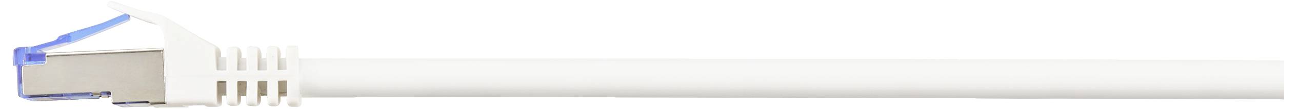 Ein weißes Ethernet-Kabel mit einem blauen Stecker, das für Netzwerkverbindungen verwendet wird.