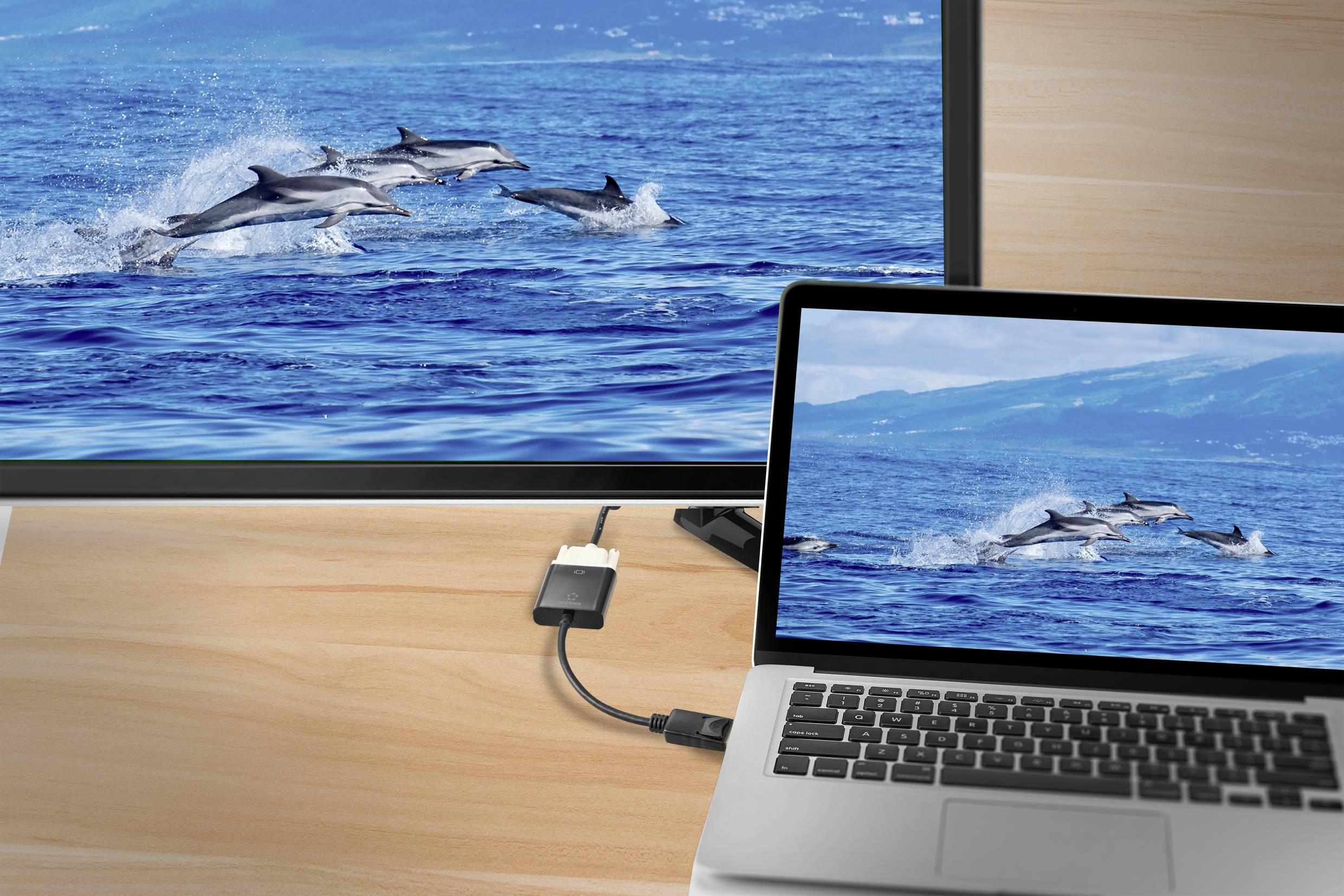 Renkforce RF-5771774 DisplayPort / DVI Adapter [1x DisplayPort Stecker - 1x DVI-Buchse 24+5pol.] Schwarz PVC-Mantel 15cm