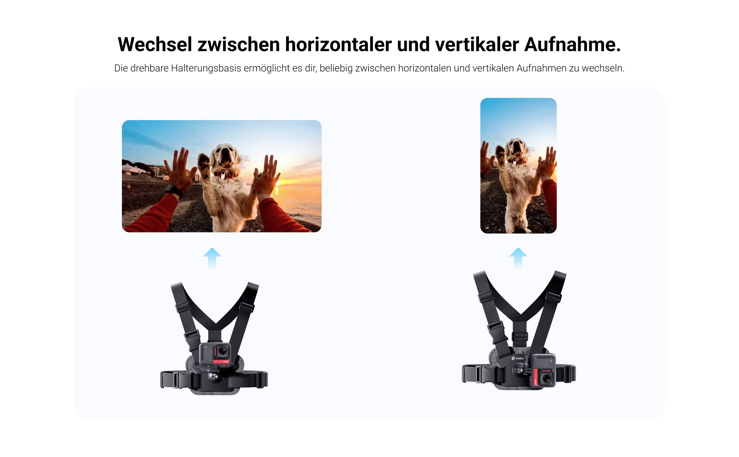 Insta360 Chest strap Brustgurt 853908