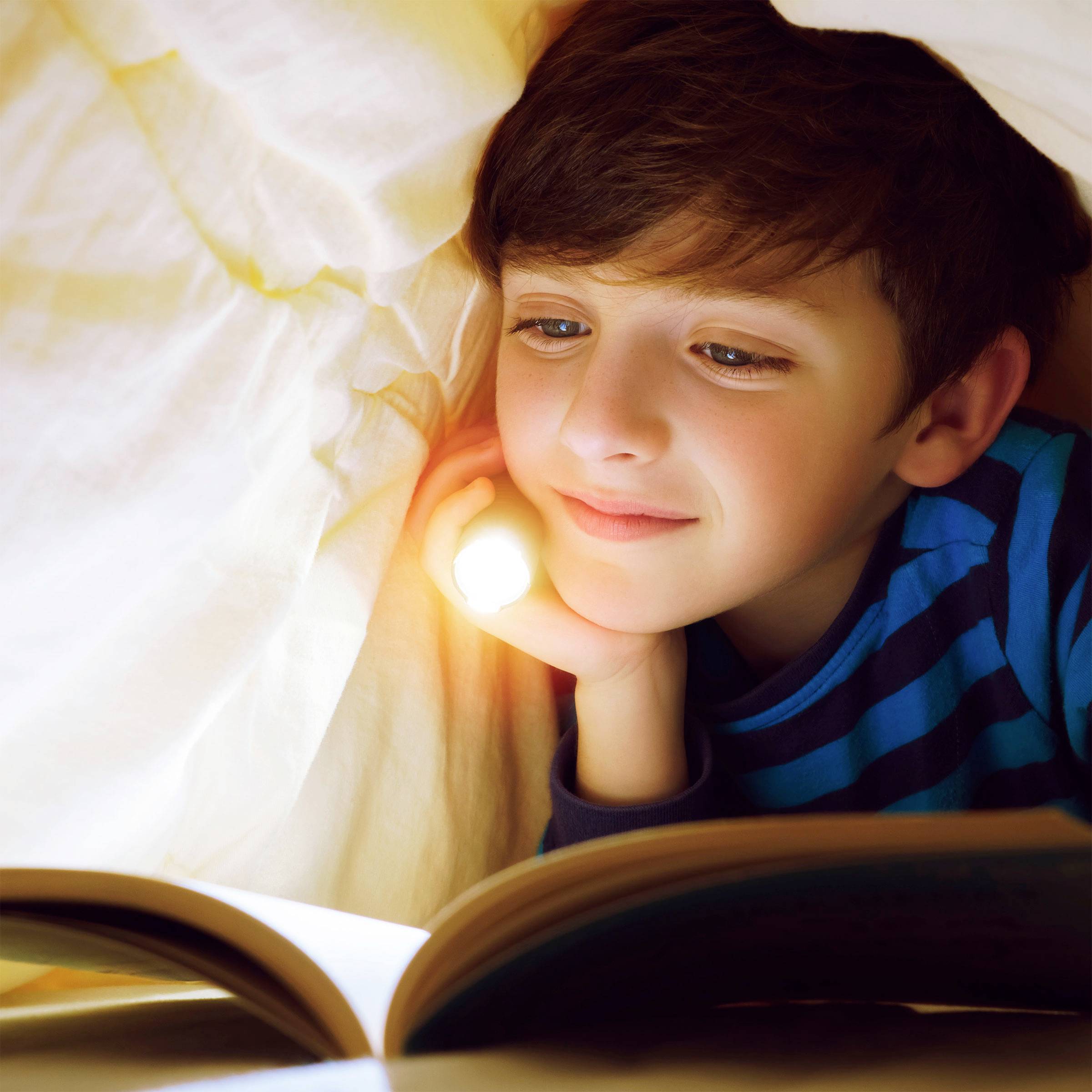 GP Discovery GPDISFLC31XBK479 LED Taschenlampe batteriebetrieben 100 lm 7 h 64 g